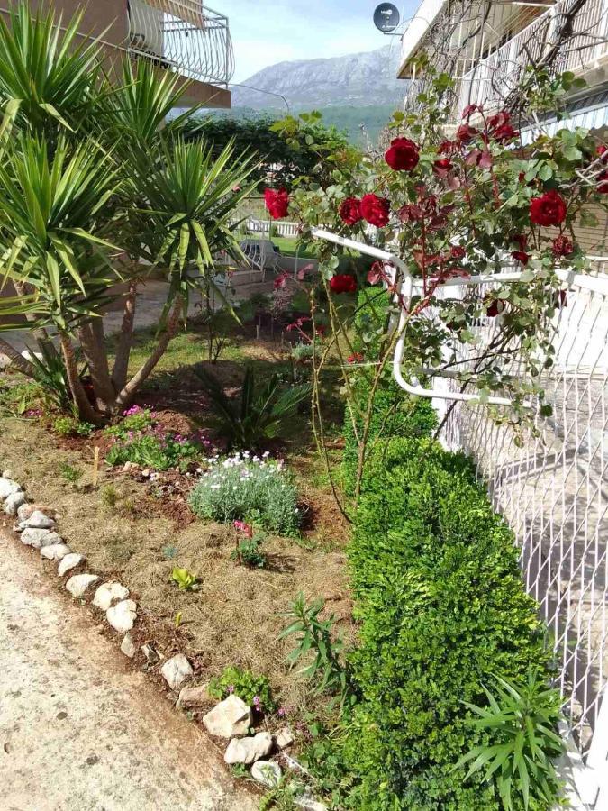 Guesthouse Djurisic Herceg Novi Buitenkant foto